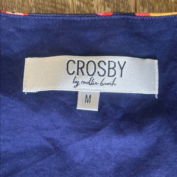 Crosby by Mollie Burch Holden Dress Fruit Print Size M - Picture 5 of 10